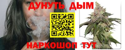 сатива Будённовск