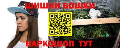 сатива Будённовск