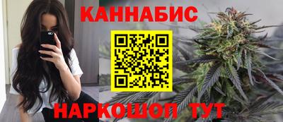 сатива Будённовск