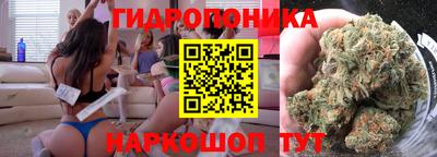 сатива Будённовск