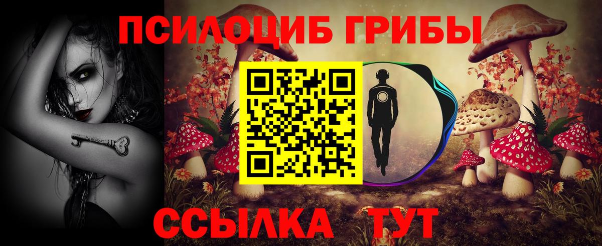 Приморско-Ахтарск  Галлюциногенные грибы MAGIC MUSHROOMS  купить наркоту  Вход с VPN 