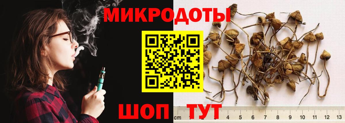 Псилоцибиновые грибы прущие грибы Приморско-Ахтарск